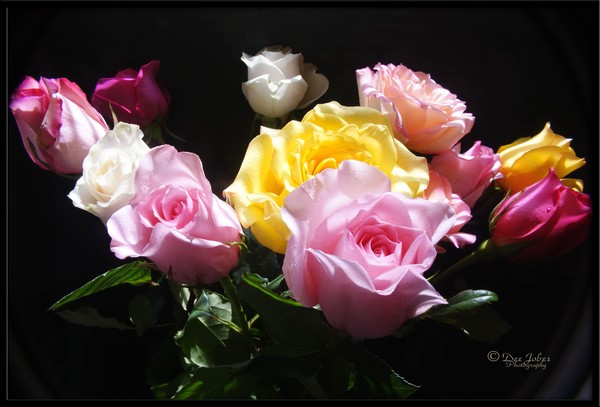With Grateful Hearts