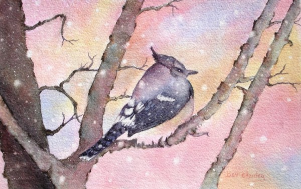 Bluejay in a Snowstorm