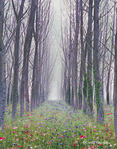 Pathway to Infinity
