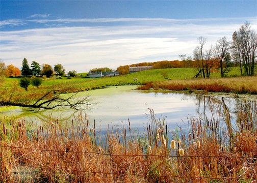 Country Autumn