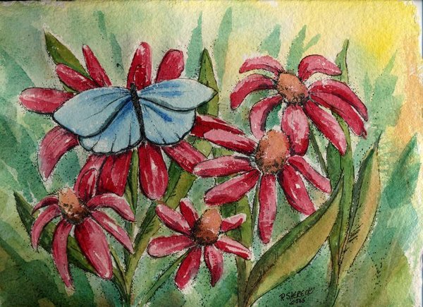 Butterfly and Cone Flowers