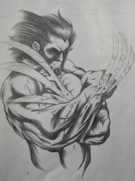 wolverine