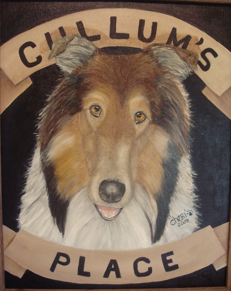 Molly The Collie