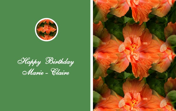 Happy Birthday Marie Claire By Lynn De Serres Artwanted Com