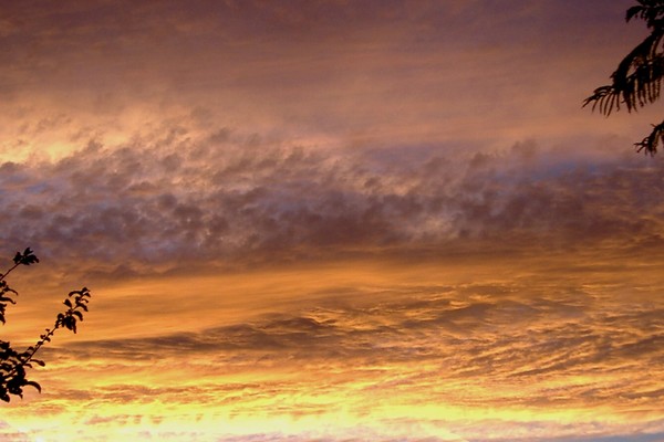 Sky 2