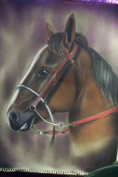 horse 
