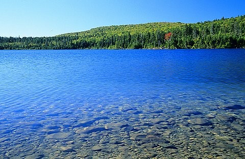 Wolfe Lake