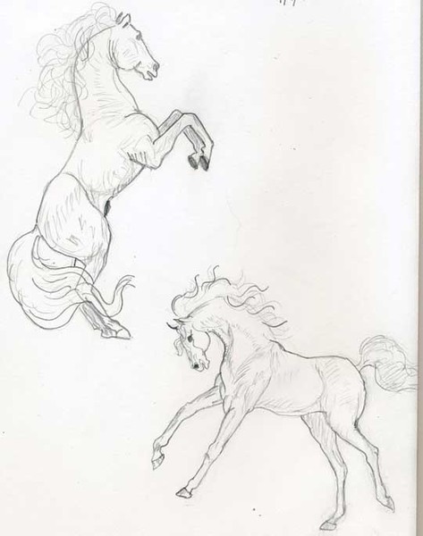 Beautiful Arabians