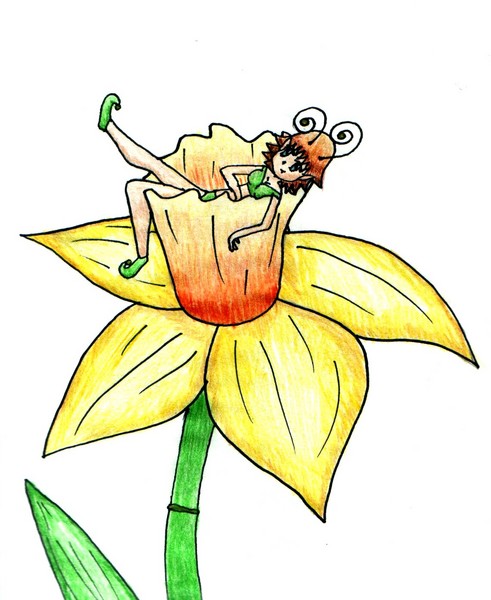 Daffodil Fairie
