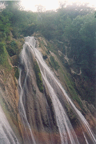 Campty Fall