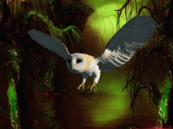 Night Owl