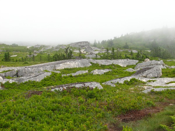 Polly's Cove area in Peggy's cove Preservation