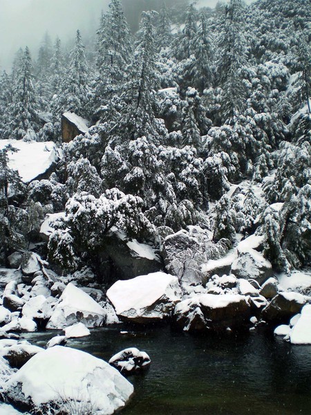 It's Snowing!