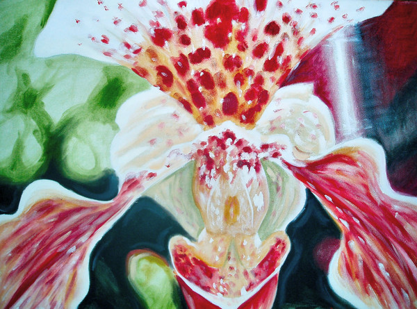 Orchid