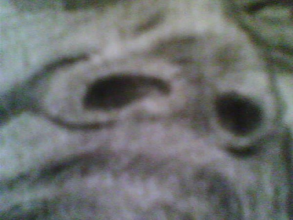 bob marley detail 11
