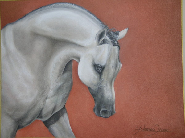 White horse