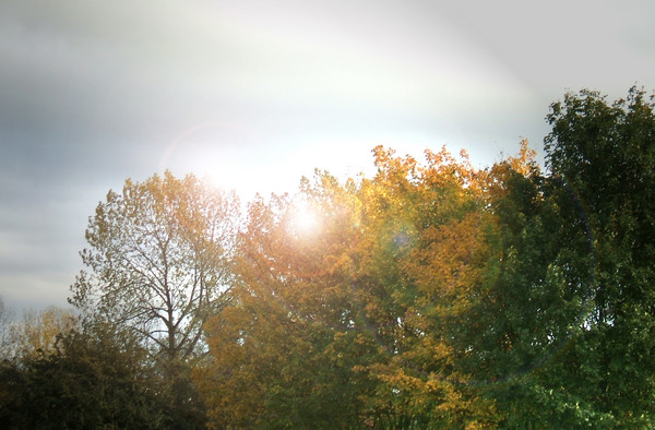 Autumn Glow