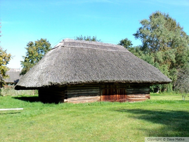 thatched roof wooden house