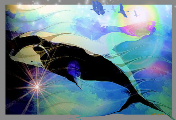 Whales Weep Not