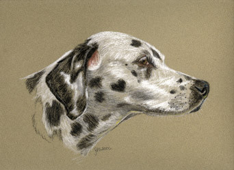 Molly, the Dal