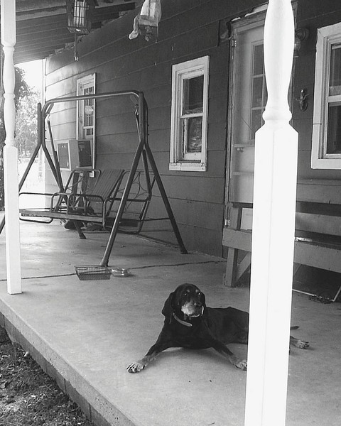 Ol' Man Buddy