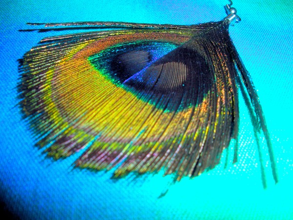 Feather