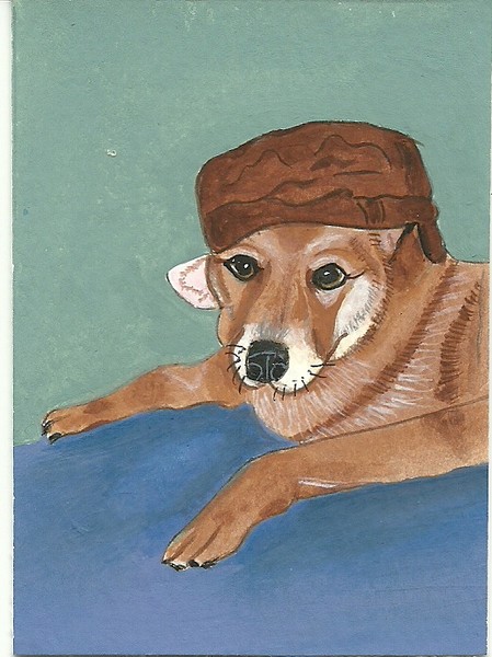 Dog With Cap