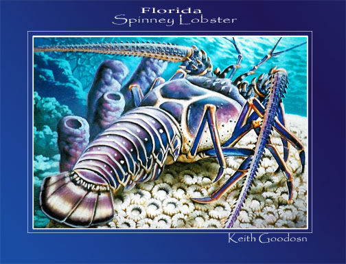Floridas Spinney Lobster
