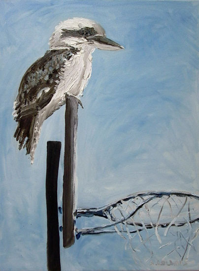 Kookaburra