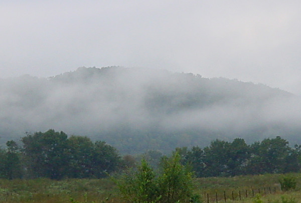 Mist off the River