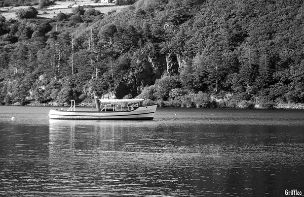 SNOWDON STAR