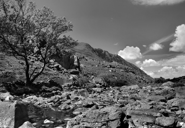 SHALLOW LITTLE RIVER