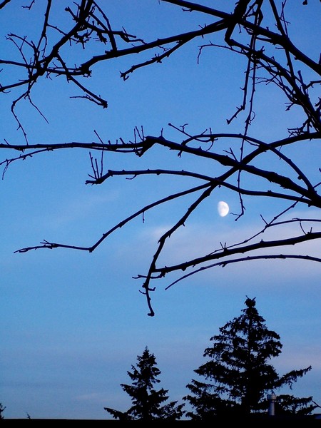 Evening