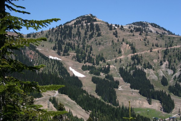 The Summit House