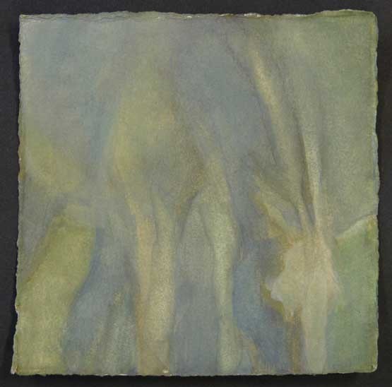 Emerging Equines II