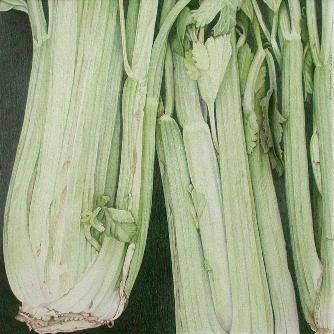 Celery