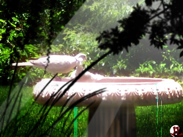 Sanctuary