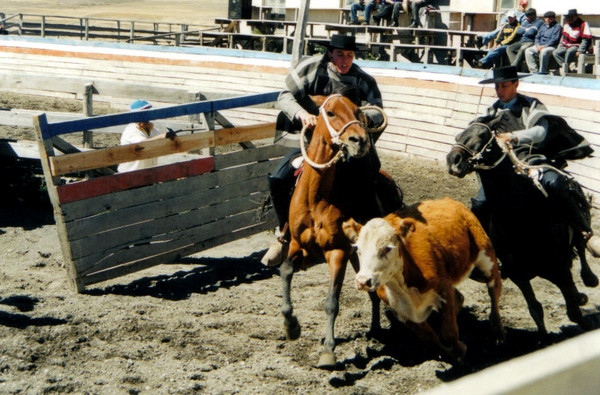 Rodeo
