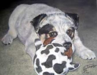 Portrait of puppy, Duke