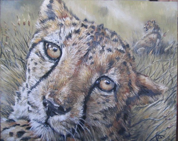 Juba and Jolly - Cheetah Boys