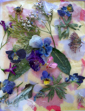  Dried flowers