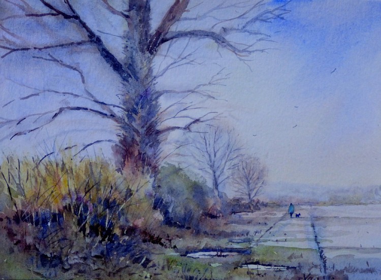 1358 Frosty evening