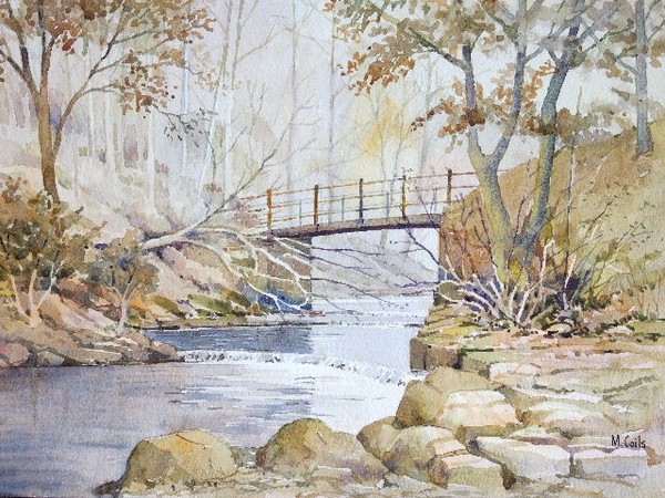 Bowlees Beck in County Durham