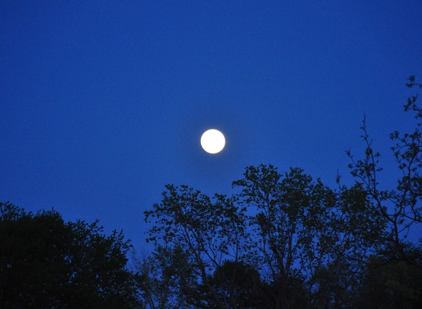 Full Moon