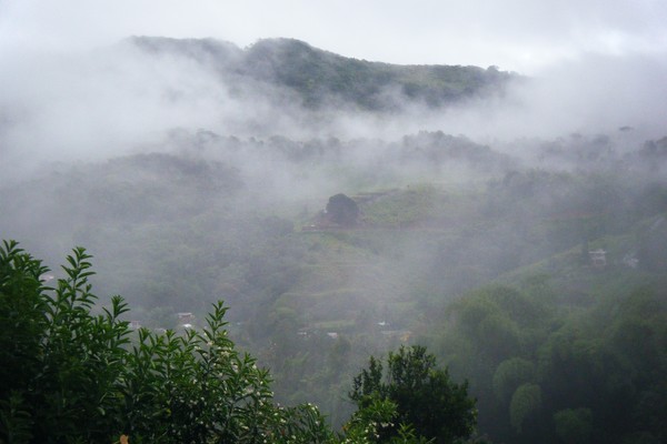 Mist Over Comerio Mountains