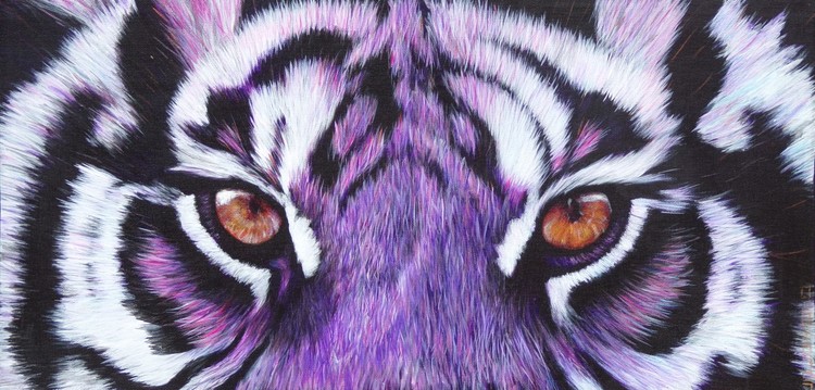 Magenta Tiger