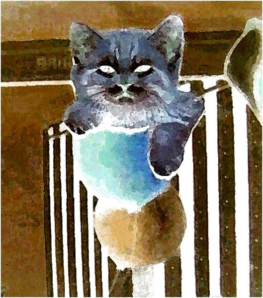 JEAN-PIERRE