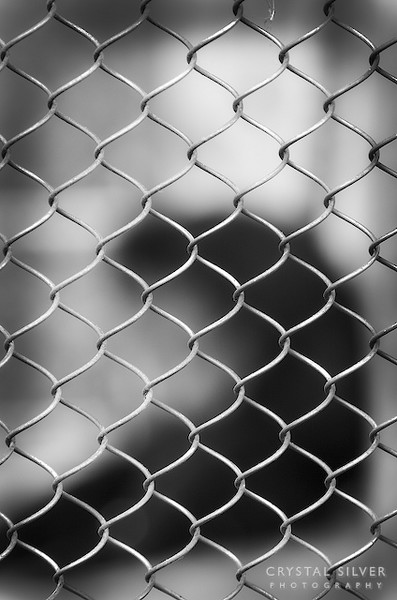 Prisoner, July 2004