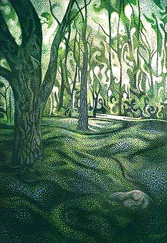 Forest Apparitions