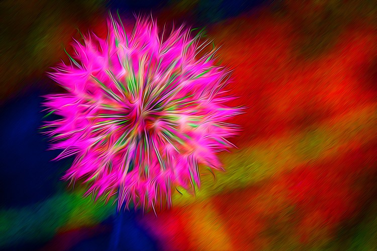 Wish 4